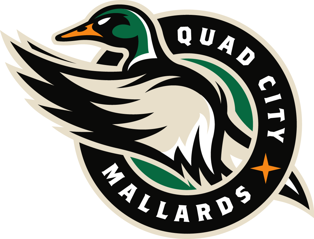 quad city mallards 2014-pres primary logo iron on heat transfer